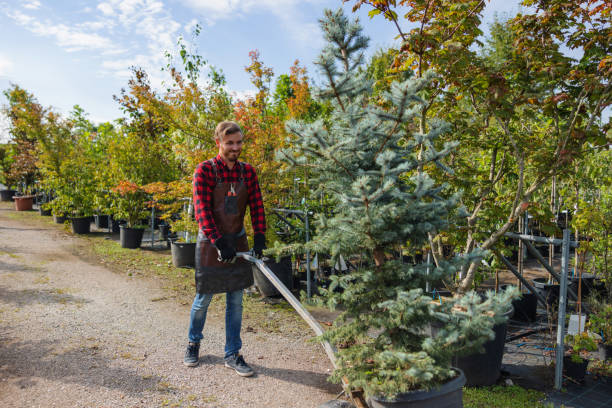 Best Tree Branch Trimming  in Etna, PA